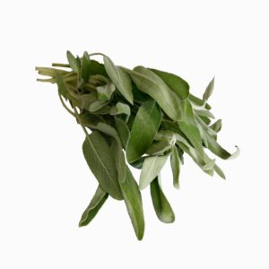 Sage | Raw Item