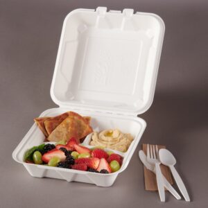 3 Compartment Large Containers | Styled