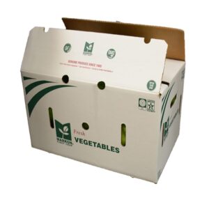 Jumbo Green Pepper | Packaged