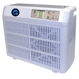 Guava Soft Drink | Raw Item