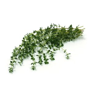 Thyme | Raw Item