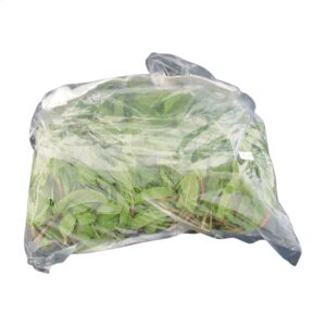 Mint Leaves | Packaged