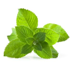 Mint Leaves | Raw Item