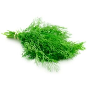 Dill | Raw Item