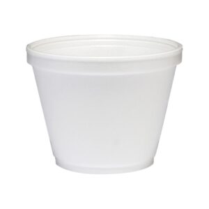 Dart Foam Containers | Raw Item