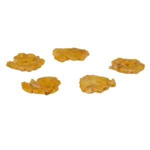 Plantain Tostones | Raw Item