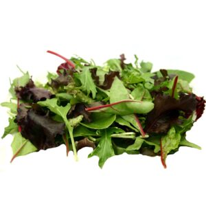 Spring Mix 1-1lb | Raw Item