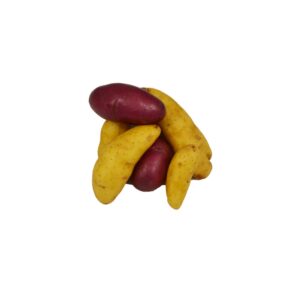 Mixed Fingerling Potatoes | Raw Item