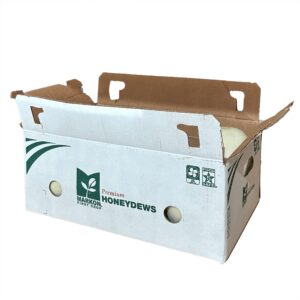 Honeydew Melon | Packaged