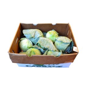 Green Cabbage | Packaged