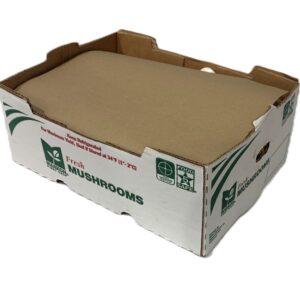 Fresh Medium Mushrooms | Corrugated Box