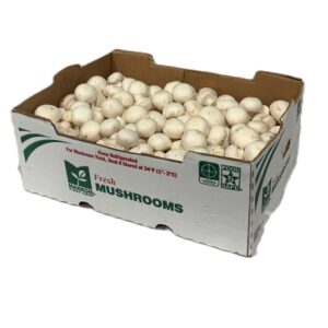 Fresh Medium Mushrooms | Packaged