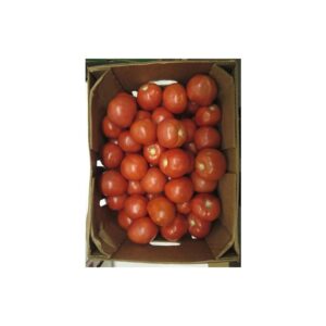 Large Tomatoes | Packaged