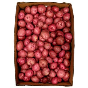 Red Potatoes | Packaged