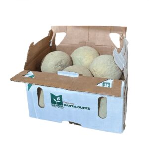 Fresh Cantaloupe Melons | Packaged