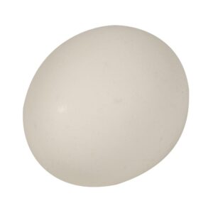 Shell Eggs | Raw Item