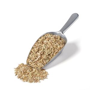 Whole Fennel Seed | Raw Item