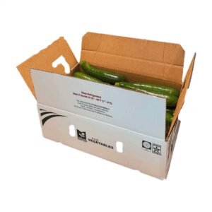 ZUCCHINI SQUASH 5# BOSTON FRSH | Packaged