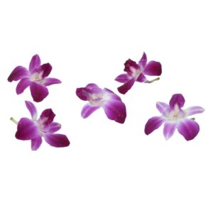 Edible Garnish Orchids | Raw Item