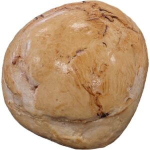 Golden Breaded Chicken Tenderloins | Raw Item