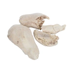 Natural Pulled Chicken | Raw Item