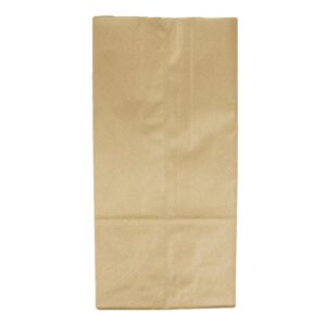 8″ Brown Paper Bag | Raw Item