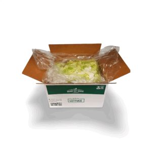 LETTUCE ICEBERG CHPD 4-5# RSS | Packaged