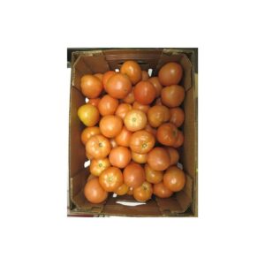 6×7 Medium Tomato | Packaged