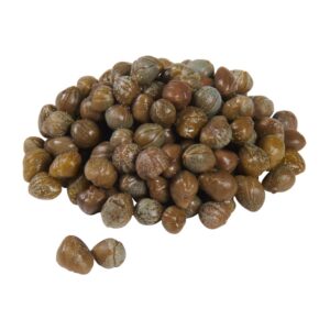 TAVOLINI CAPER 6-34Z | Raw Item