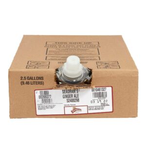 Ginger Ale Soft Drink Syrup | Packaged