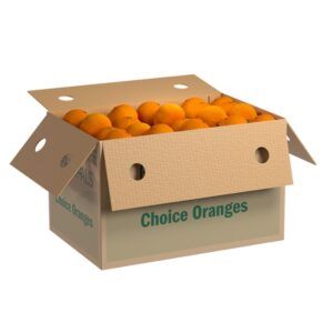 PROD FRESH ORANGES CHOICE 88CT-ESS | Packaged