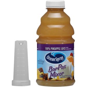 100% Pineaaple Juice Bar-Pac Mixer | Packaged