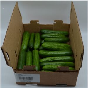 CUCUMBER MINI SDLSS 5# MRKN | Packaged