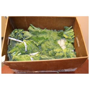 Collard Greens | Packaged