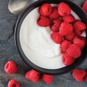 Plain Nonfat Greek Yogurt | Styled