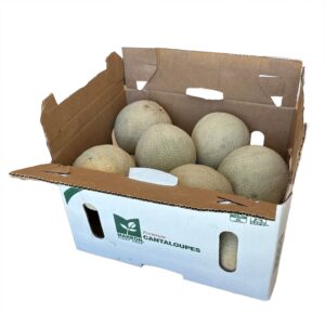 18 Count Cantaloupe Melons | Packaged