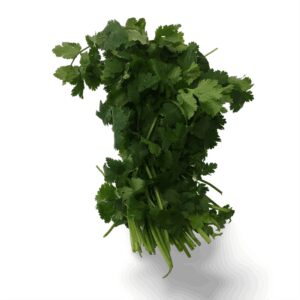 Cleaned Cilantro | Raw Item