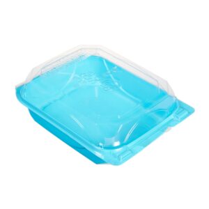 CONT BLUE BSE 6X8 HNGD 4-50CT RESC | Raw Item