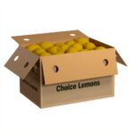 PROD FRESH LEMON 200CT CHOICE-ESS - Gordon Restaurant Market