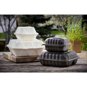1-compartment Black Hinged Containers | Styled