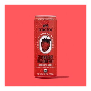 JUICE STRAWB DRGN FRT ORGNC 12-12FLZ | Styled