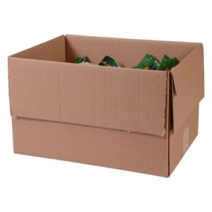 SEED SUNFLWR KERN 200-1Z KARS | Packaged