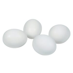 Fresh Large Eggs | Raw Item