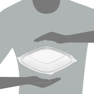 LID 24-64Z PET CLR 252CT PRSNTBWL | Styled