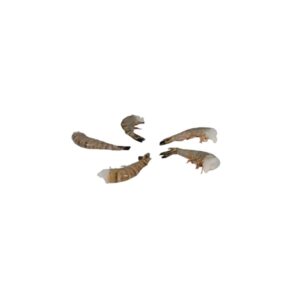 CONT MOLDED FBR 9X9X3″ WHT HNGD 150CT | Raw Item