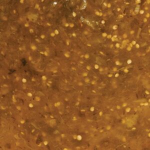 CHOLULA SALSA VERDE MLD 12Z | Raw Item