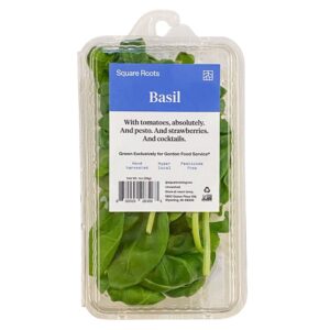 Square Roots Basil 1oz | Packaged