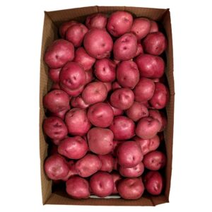 5ct RED POTATOES | Packaged