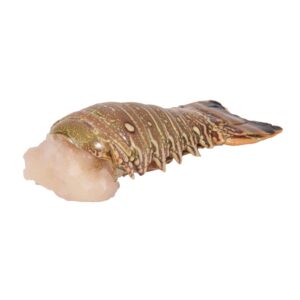 Caribbean Lobster Tails | Raw Item