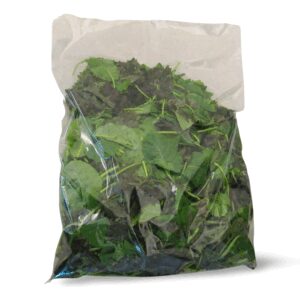 Baby Blend Kale | Packaged